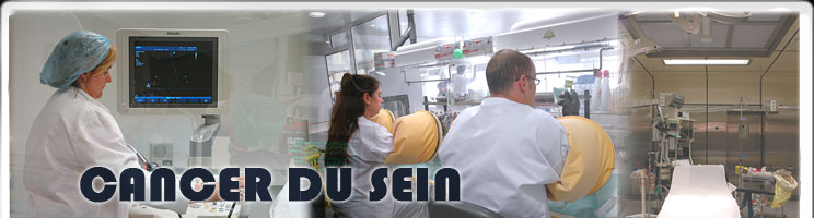 csein